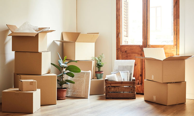 Professional movers carefully preparing household furniture and packed boxes for transportation